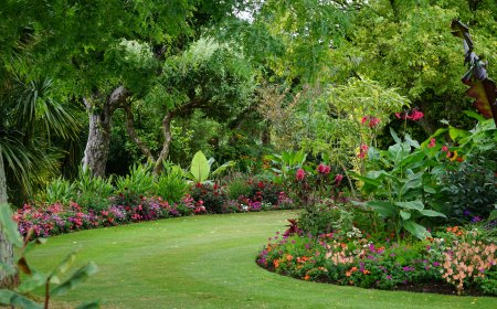 🌿 Ogród pełen życia – jak stworzyć zieloną oazę wokół domu